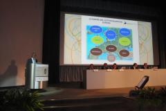 Sorrento-Meeting-2011-Corvino-speaking
