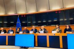 Presentazione volume "Mezzogiorno in progress? Non siamo meridionalisti", Bruxelles 05.02.2020