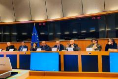 Presentazione volume "Mezzogiorno in progress? Non siamo meridionalisti", Bruxelles 05.02.2020