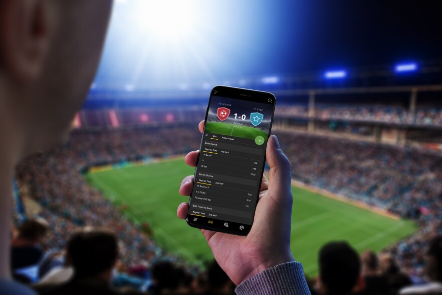 Discover the World of Opportunities with Bet100 Discover the World of Opportunities with Bet100